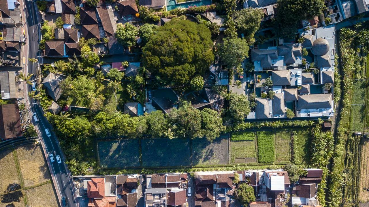 Seminyak Villa Kalyca Eksteriør bilde